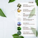 메르시독 이미지