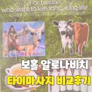 [필리핀_보홀] 알로나비치 근처 3개 마사지샵 후기(궁스파,너바나스파,타이파라다이스스파