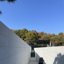 해든에너지5 | [강화도 가볼만한 곳] 해든 뮤지엄 - 별이 뜨다 전시 후기 (주차, 입장료)