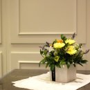 오늘은 특별하개 이미지