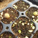 안골자동차정비센타 이미지