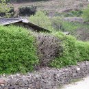 의령 오운마을 옛 담장 이미지