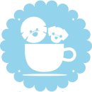 차르도르 애견카페 네이버블로그