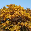 우환농장 이미지