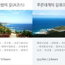 푸른로드