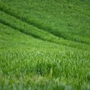 광원농장 이미지