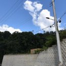 위더스 펫 이미지