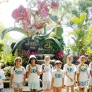 나비부화장 이미지