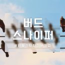 스페스큐브 이미지