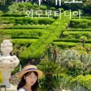 거제파인트리펜션 이미지