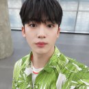 멍뭉컷 TV리포트
