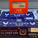 산야유정란 이미지