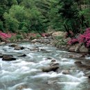 2공단공원 이미지