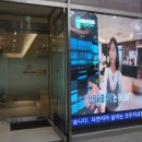 정직한치과의원 네이버블로그