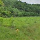 봉화공인중개사사무소 이미지