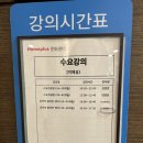 홈플러스 피카부 원어민 영어수업후기