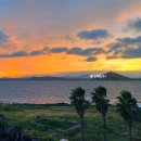 돌고래마루민박펜션 | 제주 우도 숙소 민박 숙박 우도펜션, 우도렌트카 반입 가능 다올펜션 제주도 일출 일몰 명소 가족 단체...