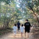 황방산 맨발걷기 이미지