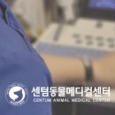세려메디칼 네이버블로그