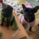 뚜드림 수원점 이미지