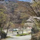 깊은골 캠핑장 이미지