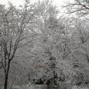 설경민박 이미지