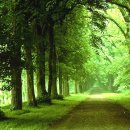 그대그리고나 이미지