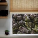 제주 하얀집 이미지