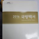 백서