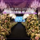 이마트24(거제중앙병원점) | 안산 엠블던 호텔 웨딩 루시아홀 뷔페 주차 ATM 하객 솔직 후기