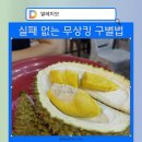 [말레이시아 여행] 지금이 기회! 두리안 제철 품종 비교 및 무상킹 고르는 법 총정리