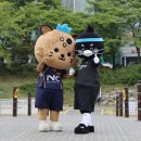 탄천종합운동장 (주경기장) 이미지