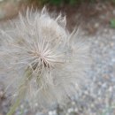 우리꽃캠핑장 이미지