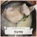 마삼계탕 역삼별관 | [역삼 대치 맛집] 마를 갈아서 만든 삼계탕 맛집 "마삼계탕" (내돈내산, 솔직후기)