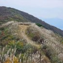 충남오서산(790m)억새군락지산행(2) 이미지