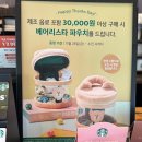 자바앤코 | 스타벅스 베어리스타파우치랑 홀리데이머그