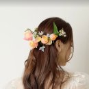 댕이쌀롱 이미지