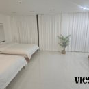 스테이하몽 이미지