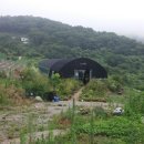 영남알프스꽃차
