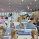 객주촌 한옥펜션 이미지