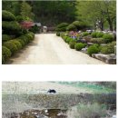 소나무집펜션민박 이미지