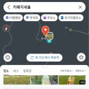 석림1 마을안길 | [🌈충남아산] 파라다이스 스파 도고온천 근처 카페 "지새울" 방문후기