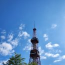 와가목장 | 삿포로 후라노 비에이 버스투어 여름후기