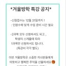 가야금(소수정예) 이미지