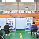 청도체육관 이미지