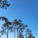 톱머리 리조트 이미지