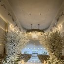 이베리스 | 청주 메리다웨딩홀 이베리스홀 계약 후기 👍❤️