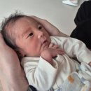 선비약국 | 👶🏻👶🏻 신생아 쌍둥이 육아일기 | D+16 ~ D+31