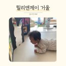 릴리앤제이 이미지