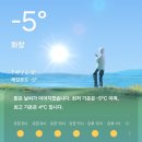 밥달라개